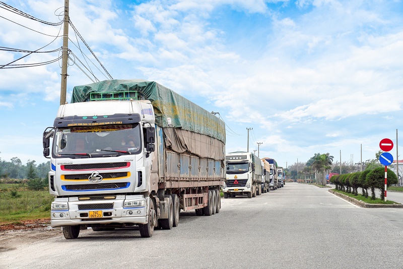 2. Vận chuyển sắn lát trực tiếp từ Lào về cảng Chu Lai để xuất khẩu