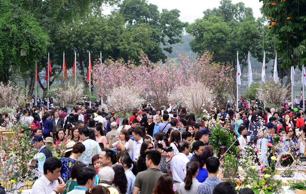 Nô nức khách tham quan tại Lễ hội hoa anh đào 2017