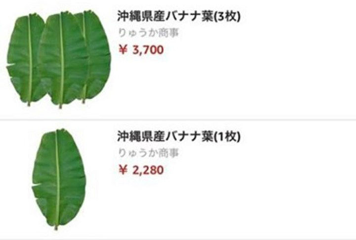 lá chuối được bán giá cao tại Nhật