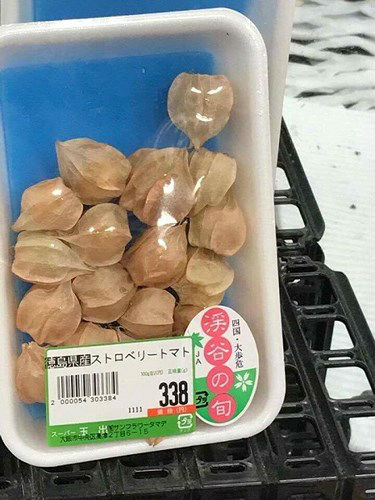 Quả tầm bóp bán ở Nhật đắt không kém các loại hoa quả nhập khẩu cao cấp