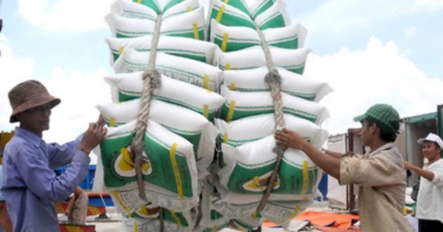 Hà Nội xuất khẩu gạo tăng 127,6% so với cùng kỳ 