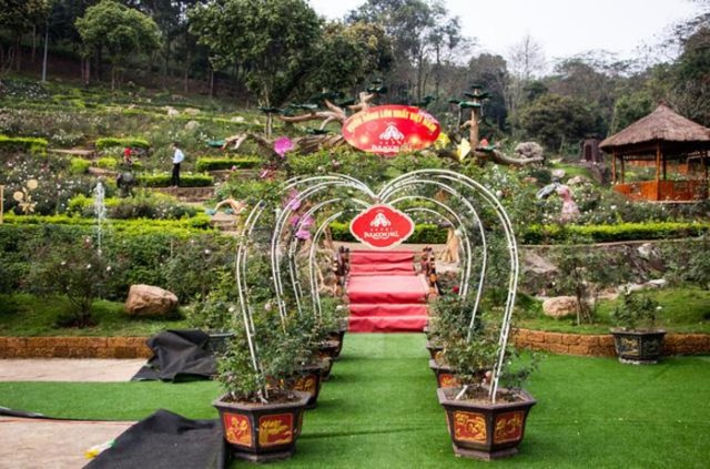 Vườn hồng lớn nhất Việt Nam tại Paragon Hill  