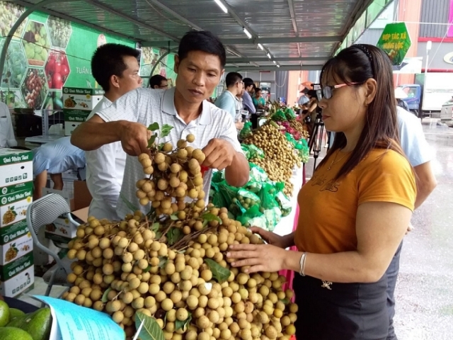 Hà Nội sẽ có 8 chợ đầu mối nông sản