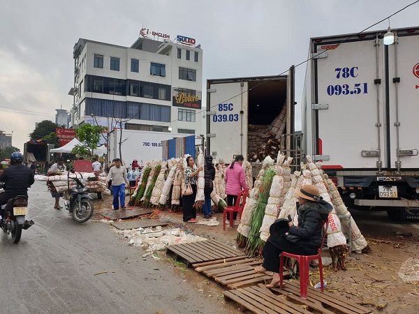 Những chuyển xe container chở hoa Dơn từ Đà Lạt, Phú Yên về chợ hoa Lũng để bán. Ảnh: Thanh Sơn