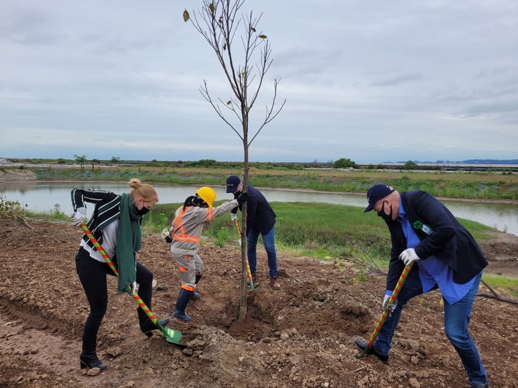 Chiến dịch trồng 2.500 cây xanh (Plan Your Tree 2022). Ảnh: Thanh Sơn