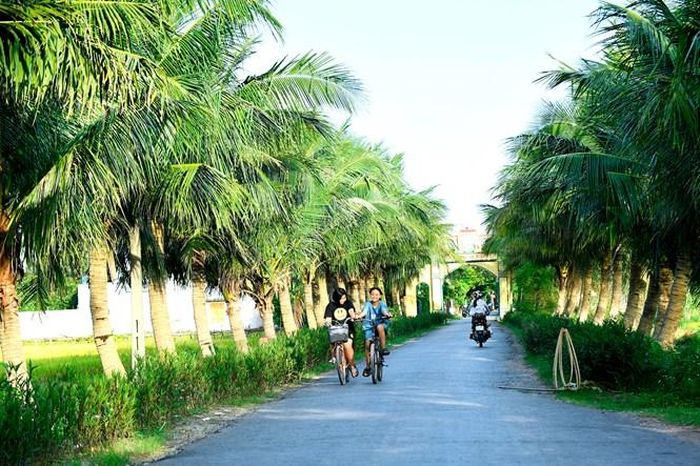 Đường vào làng Hòa Nhuệ, xã Tiên Động (Tứ Kỳ) được nhựa hóa. Ảnh: Thành Chung