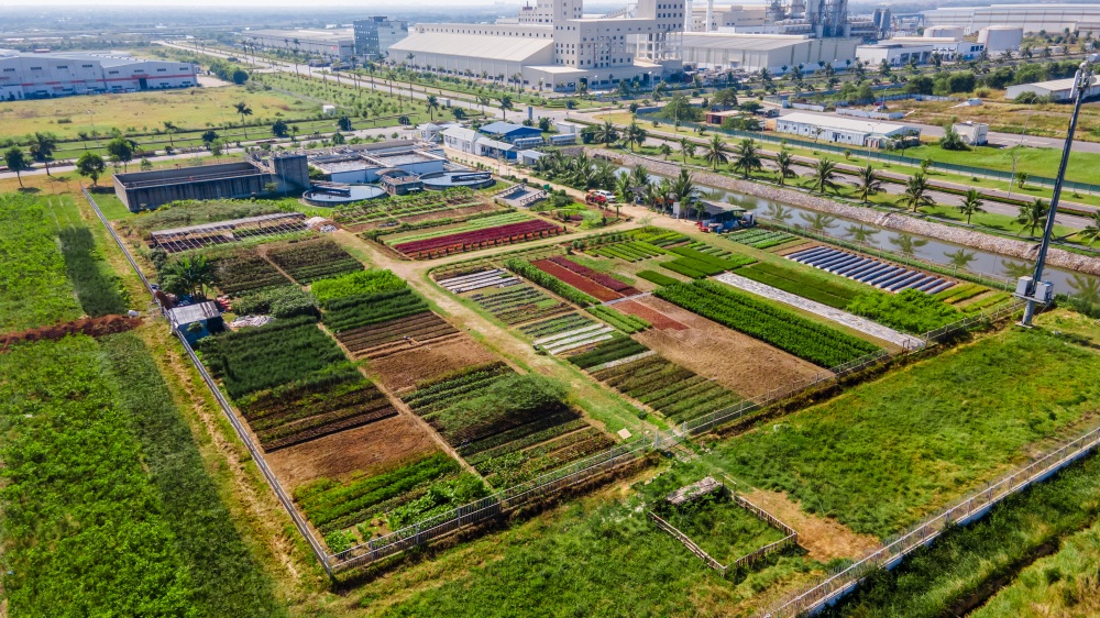 Vườn ươm cây xanh được tưới tiêu từ nguồn nước của nhà máy xử lý nước thải chuẩn ISO 9001&14001, cung cấp cây xanh cho toàn khu công nghiệp DEEP C