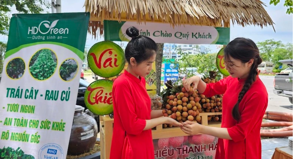 Sản phẩm vải thiều Thanh Hà luôn được thị trường trong nước và nước ngoài đón nhận. Ảnh: Quang Thọ