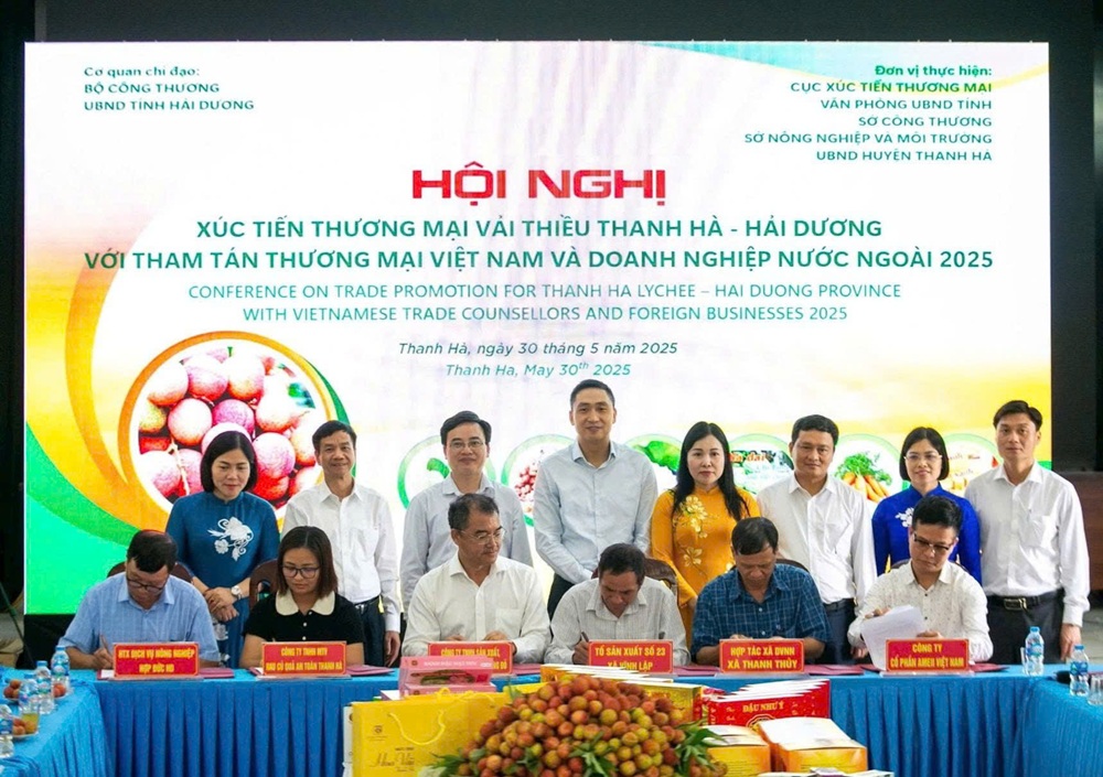 Các doanh nghiệp ký cam kết tiêu thụ vải với hợp tác xã có vải trong huyện Thanh Hà