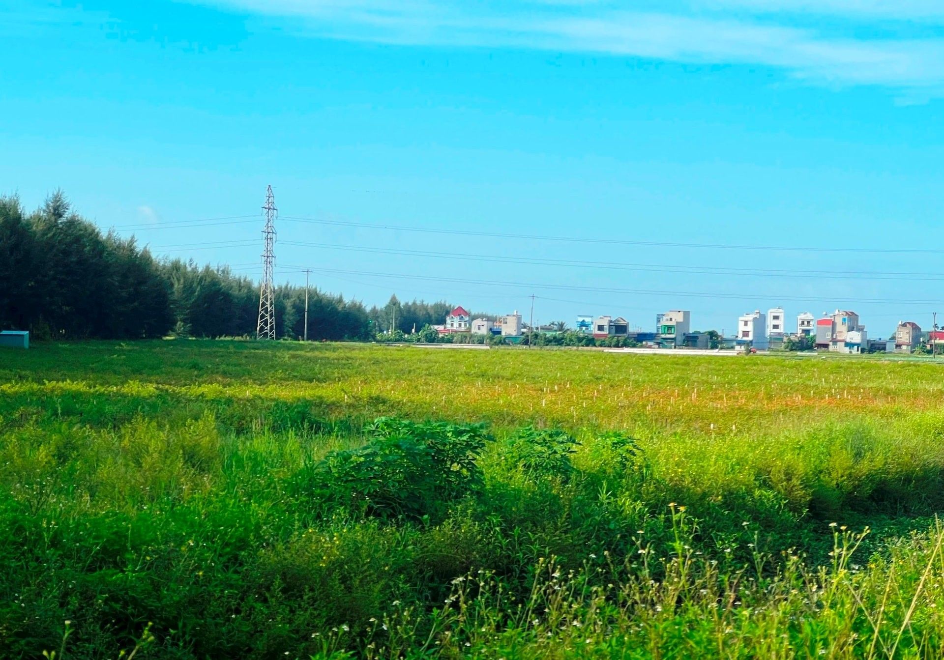 Dự án Đầu tư xây dựng Bệnh viện Quốc tế Hà Nội - Hải Dương ở huyện Ninh Giang là một trong những Dự án chậm tiến độ của tỉnh. Trong ảnh- Địa điểm xây dựng Bệnh viện Quốc tế Hà Nội - Hải Dương (ảnh tư liệu)