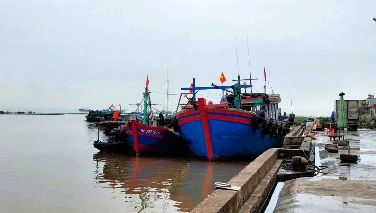 Hải Phòng có 971 tàu cá, 100% tàu có chiều dài trên 15 m đã được lắp đặt thiết bị giám sát hành trình VMS