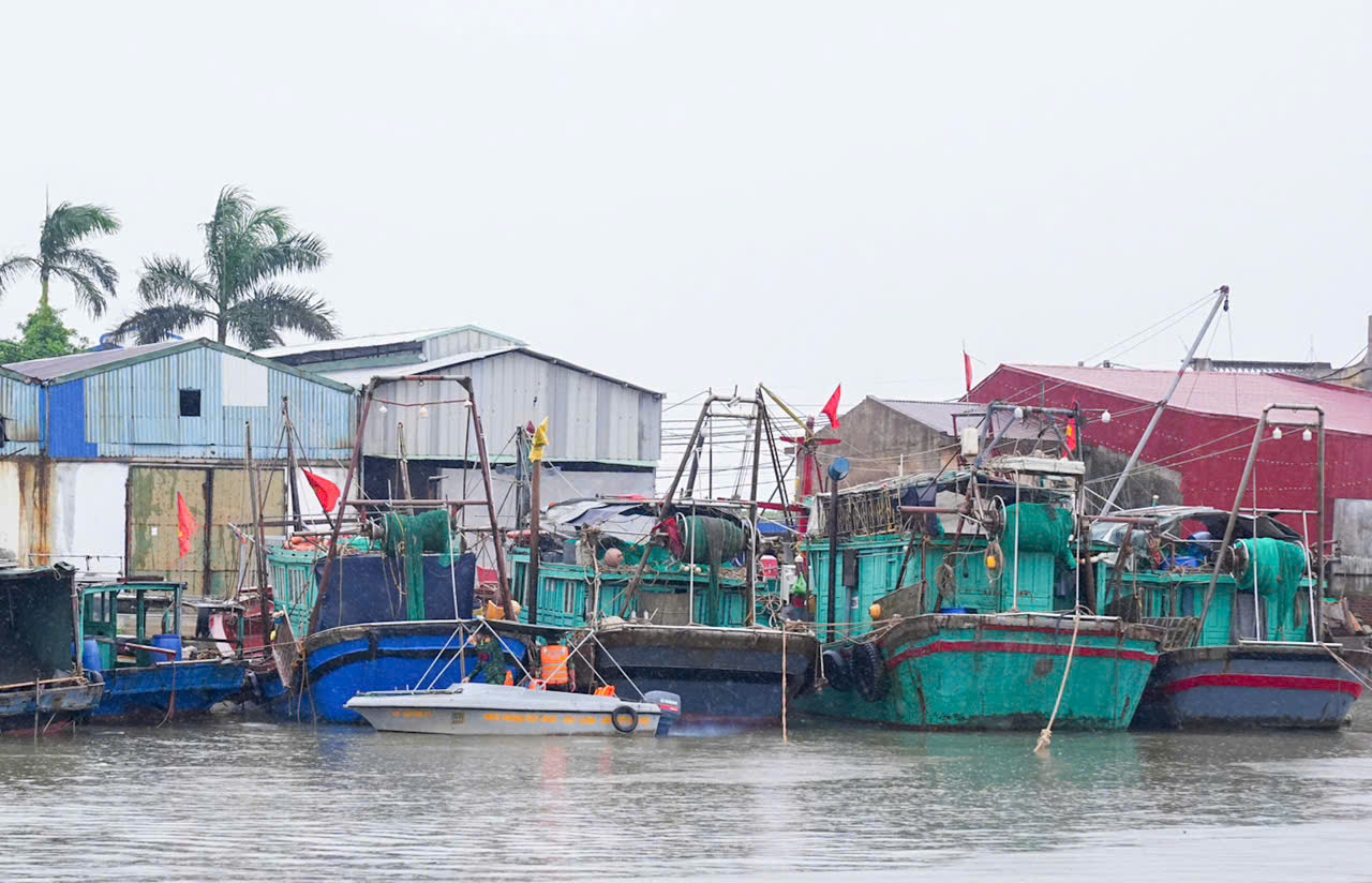 Tàu thuyền neo đậu tại cảng cá Ngọc Hải, phường Đồ Sơn