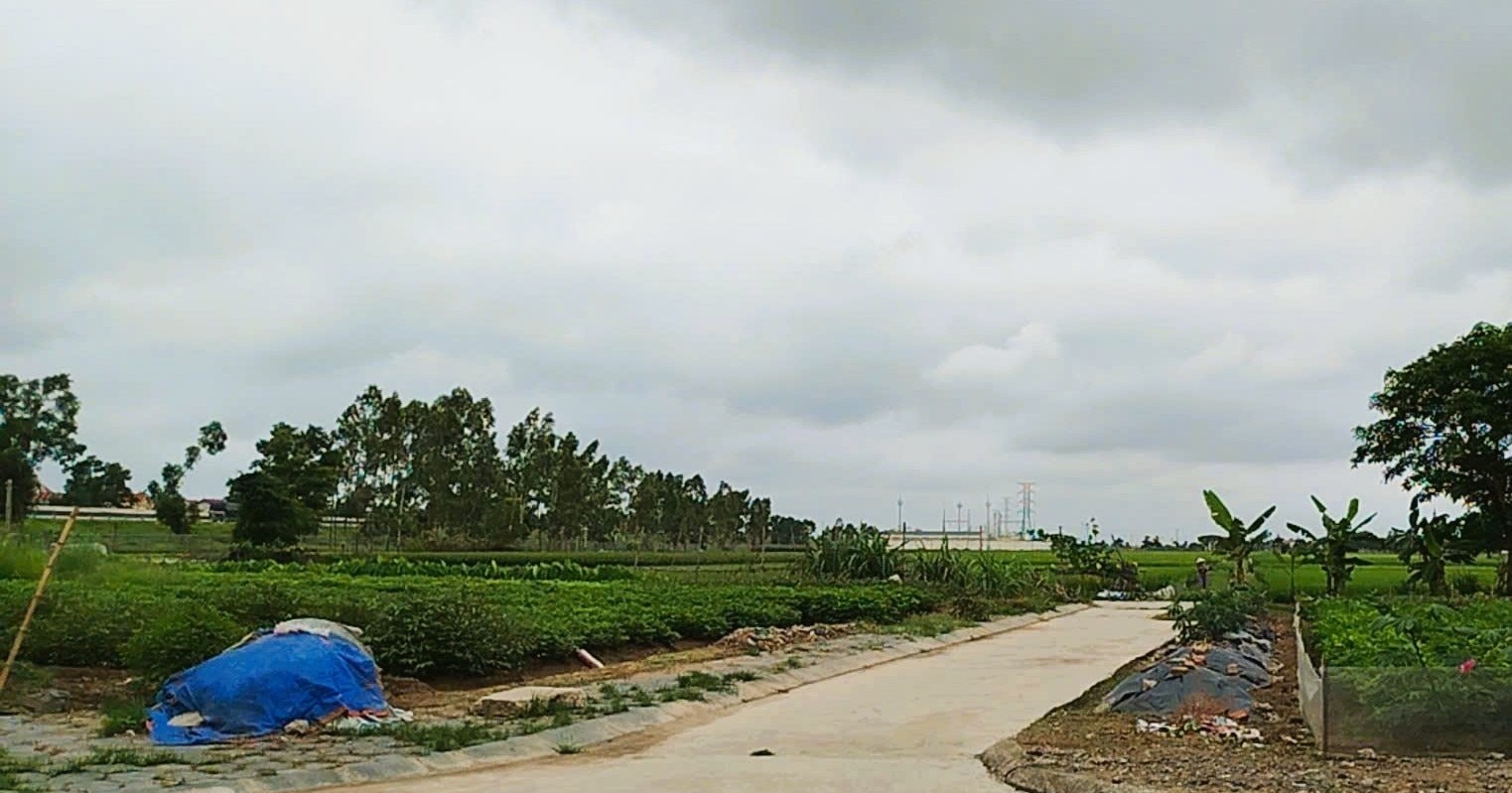 Khu vực bố trí tái định cư phục vụ giải phóng mặt bằng dụ án trên địa bàn xã Tân Kỳ. Ảnh: Nguyễn Lan