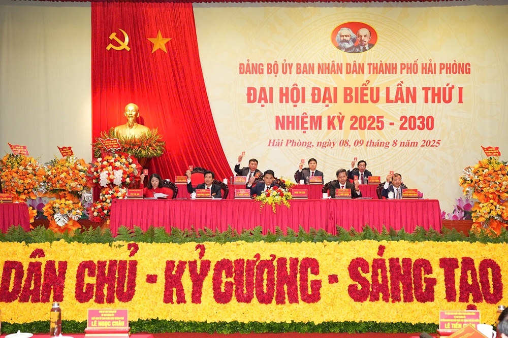 Các đại biểu biểu quyết tại Đại hội