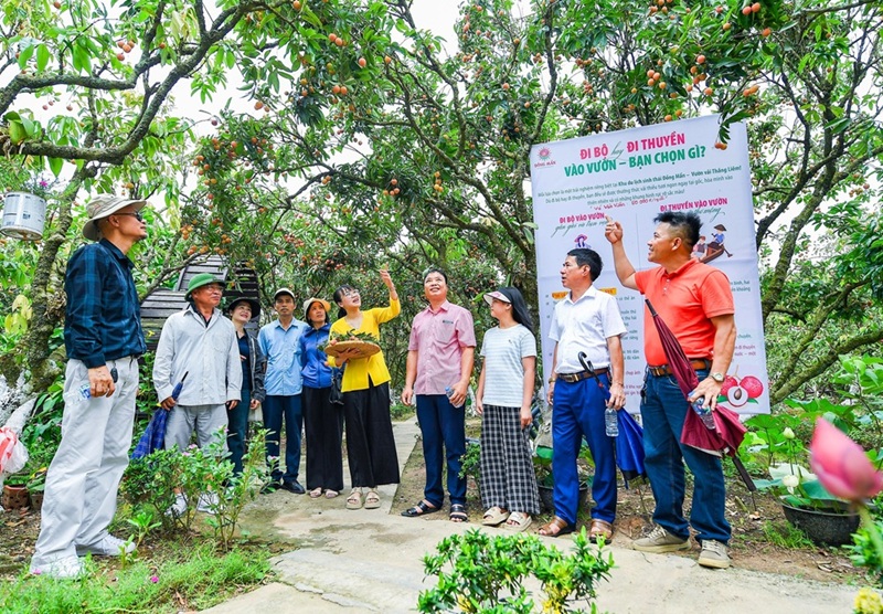 Du khách tham quan khu du lịch sinh thái Đồng Mẩn, xã Thanh Hà, phía Tây Hải Phòng mùa vải vừa qua. Ảnh: Thành Chung
