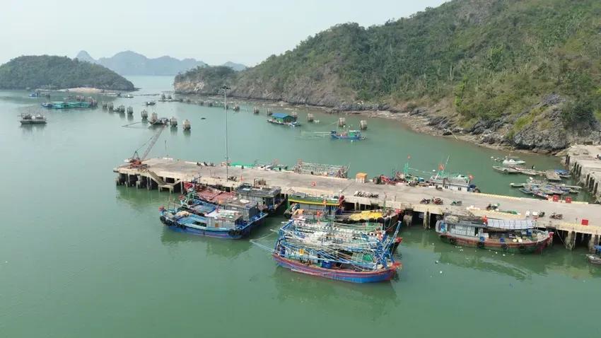 Hải Phòng thông báo cấm biển từ 17h00' ngày 27.9 để phòng, chống bão số 10
