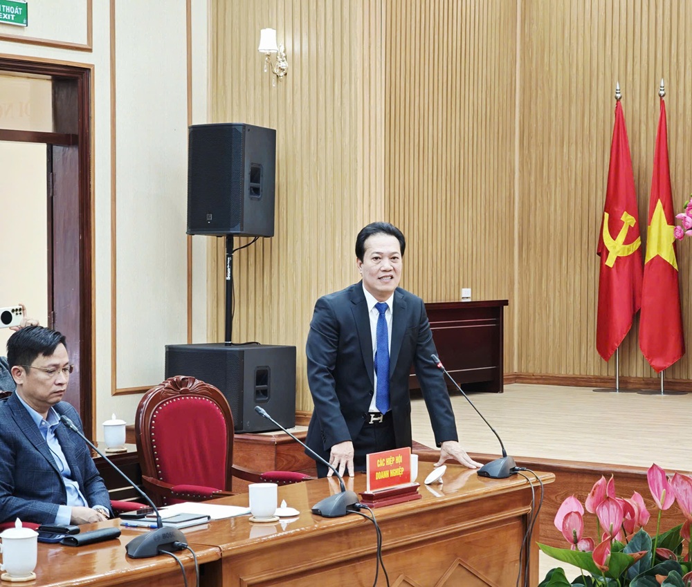 Ông Trần Văn Thắng, Chủ tịch Hiệp hội doanh nghiệp TP. Hải Phòng, Chủ tịch HĐQT Tập đoàn Sao Đỏ nêu ý kiến tại Hội nghị. Ảnh: Thanh Sơn