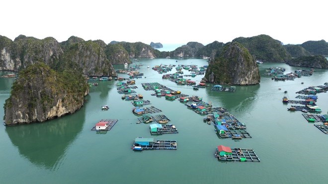 Hải Ph&ograve;ng x&acirc;y dựng chương trình ph&aacute;t triển c&aacute;c sản phẩm du lịch đẳng cấp gắn với bảo tồn di sản