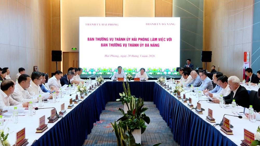 Quang cảnh buổi l&agrave;m việc