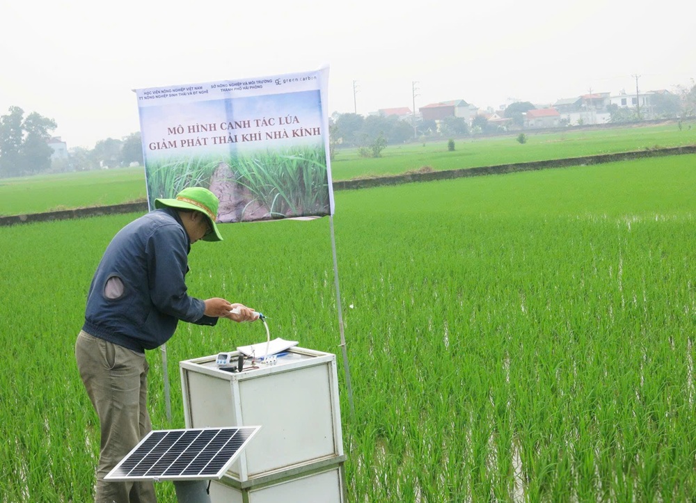 Hải Ph&ograve;ng phấn đấu đến năm 2030, kinh tế n&ocirc;ng nghiệp đ&oacute;ng g&oacute;p 5,0 - 6,0% trong GRDP của th&agrave;nh phố. Trong ảnh- Đo lượng kh&iacute; thải trong canh t&aacute;c l&uacute;a tại x&atilde; Thanh Miện