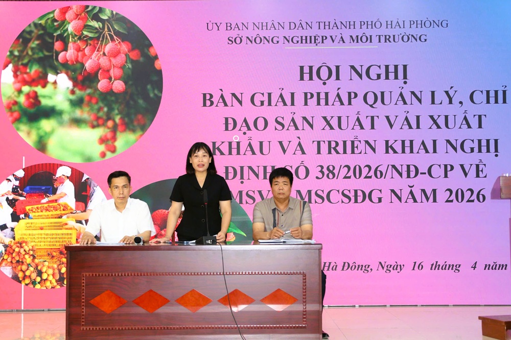Bà Lương Thị Kiểm, Phó giám đốc Sở Nông nghiệp và Môi trường Hải Phòng đề nghị UBND các xã, phường có diện tích trồng vải tăng cường tuyên truyền, nâng cao nhận thức về sản xuất an toàn, bảo vệ thương hiệu quả vải tươi của thành phố