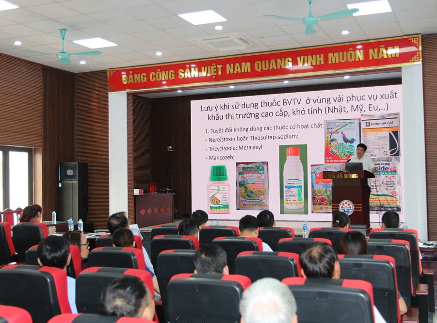 Đại diện Chi cục Trồng trọt và Bảo vệ thực vật khuyến cáo các biện pháp chăm sóc, phòng trừ sâu bệnh để quả vải tươi bảo đảm các tiêu chuẩn xuất khẩu