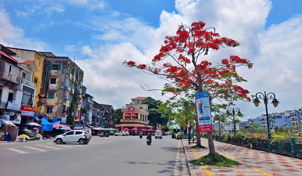 Th&aacute;ng 5 rợp trời hoa phượng đỏ