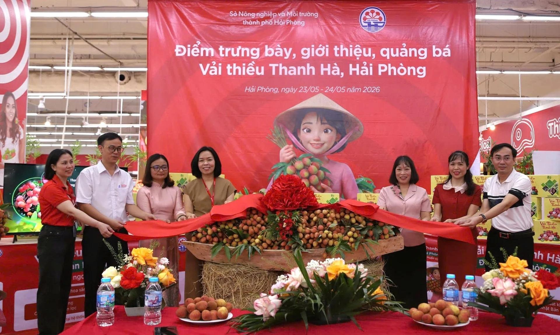 Th&agrave;nh phố Hải Ph&ograve;ng đẩy mạnh x&uacute;c tiến thương mại, đưa vải thiều Thanh H&agrave; v&agrave;o hệ thống Si&ecirc;u thị GO Việt Nam nhằm mở rộng thị trường ti&ecirc;u thụ, n&acirc;ng cao gi&aacute; trị n&ocirc;ng sản