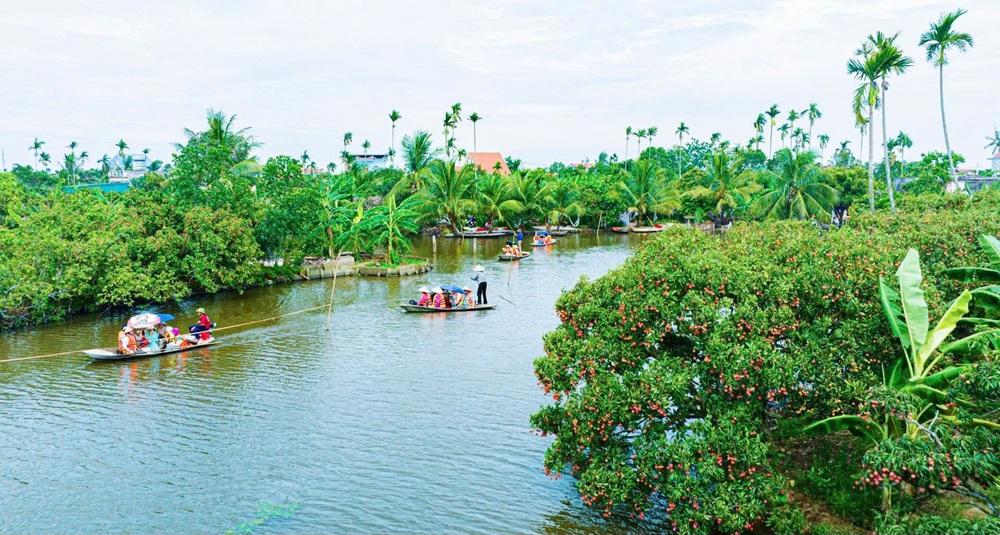 Trải nghiệm đi thuyền tr&ecirc;n s&ocirc;ng ngắm vải l&agrave; đặc trưng của miệt vườn vải Thanh H&agrave;. Ảnh: Th&agrave;nh Chung