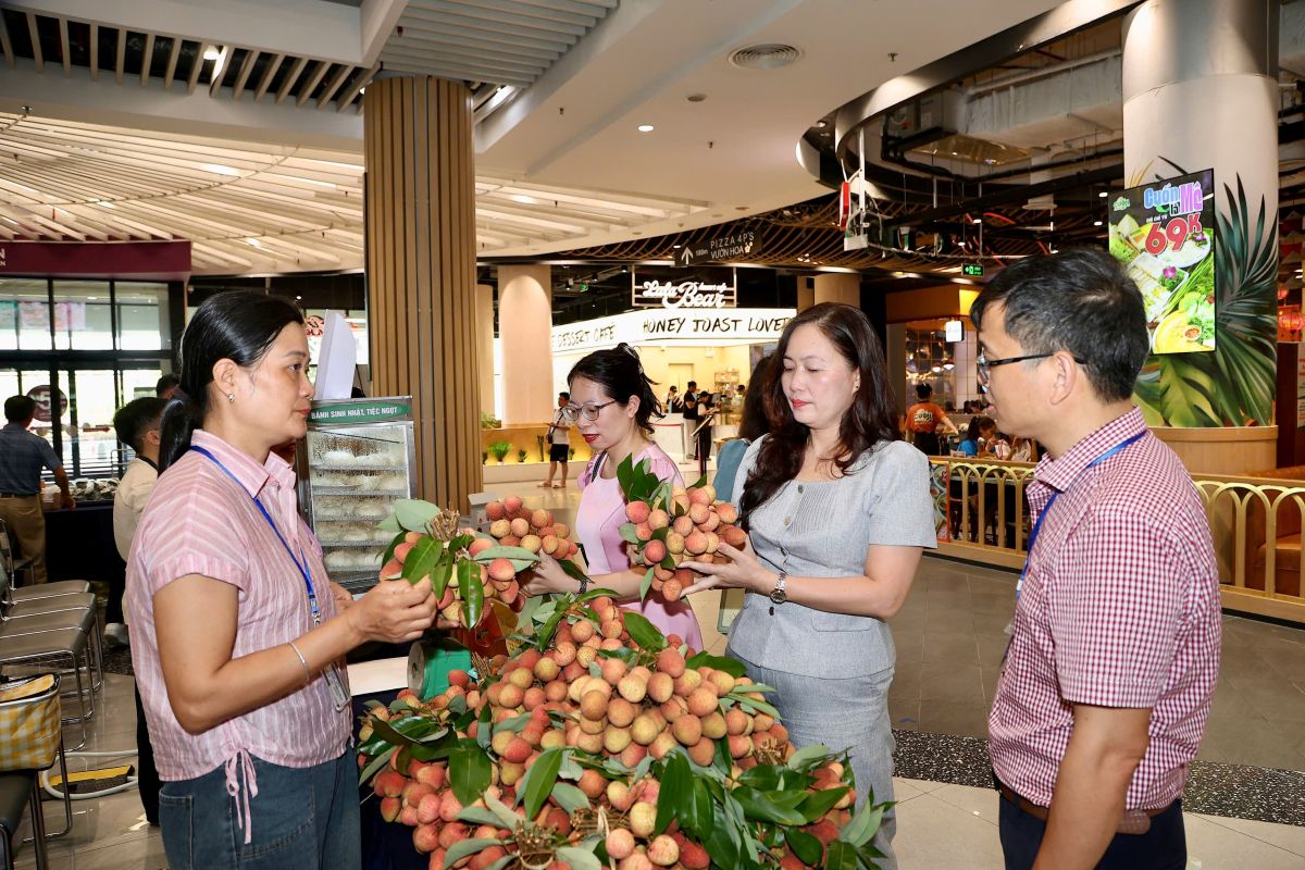 Tuần h&agrave;ng quảng b&aacute; Vải thiều Thanh H&agrave; v&agrave; sản phẩm OCOP ti&ecirc;u biểu của th&agrave;nh phố Hải Ph&ograve;ng năm 2026 đ&atilde; diễn ra từ ng&agrave;y 22 - 24.5 với chủ đề Kết nối - Lan tỏa gi&aacute; trị địa phương tại si&ecirc;u thị AEON Mall Hải Ph&ograve;ng