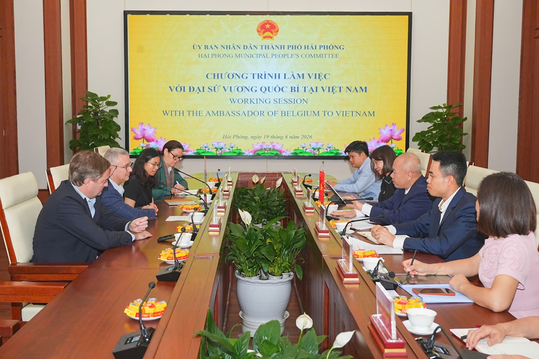 Quang cảnh cuộc làm việc
