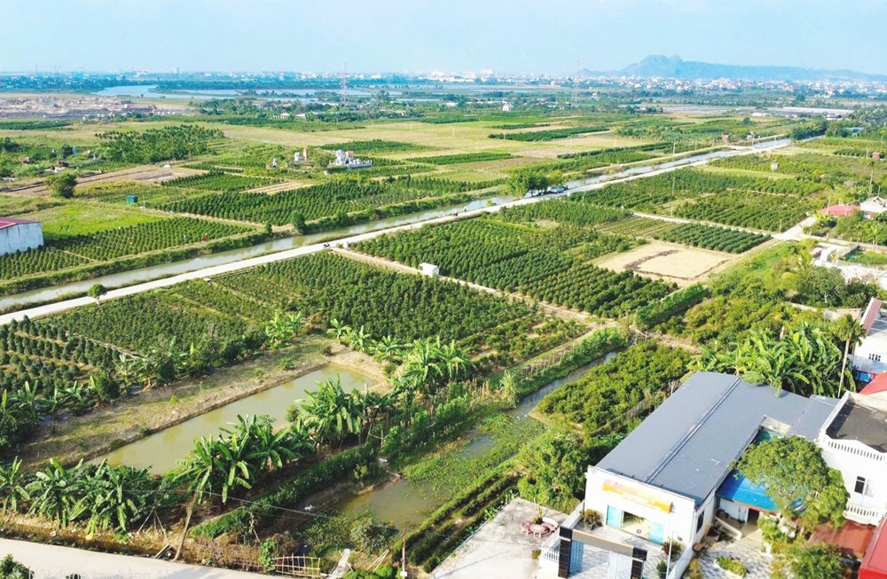 Hải Phòng tập trung cao độ, quyết liệt hoàn thành cơ sở dữ liệu đất đai thành phố. Ảnh: Trung Kiên