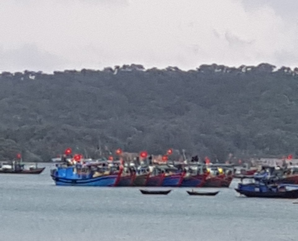 Tàu thuyền của ngư dân đã về nơi tránh trú bão thuộc huyện Cô tô trong chiều ngày 1/8. Ảnh: CTV.