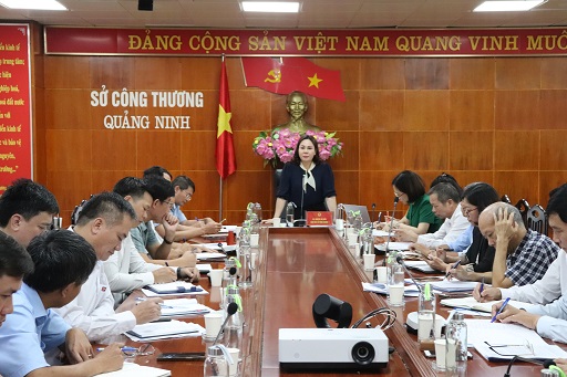 Nguyễn Thị Hiền, Giám đốc Sở Công Thương, phát biểu tại cuộc họp.