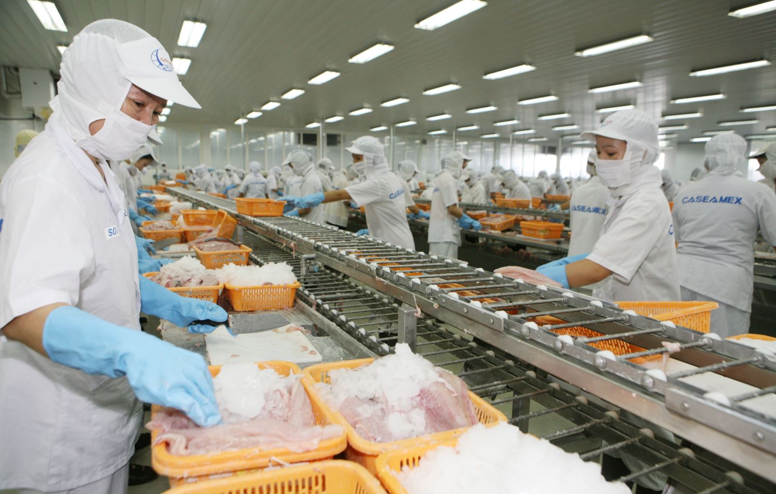 Trường hợp bị áp dụng biện pháp “thẻ đỏ” thì tất cả sản phẩm thủy sản từ khai thác của Việt Nam sẽ bị cấm xuất khẩu vào EU.