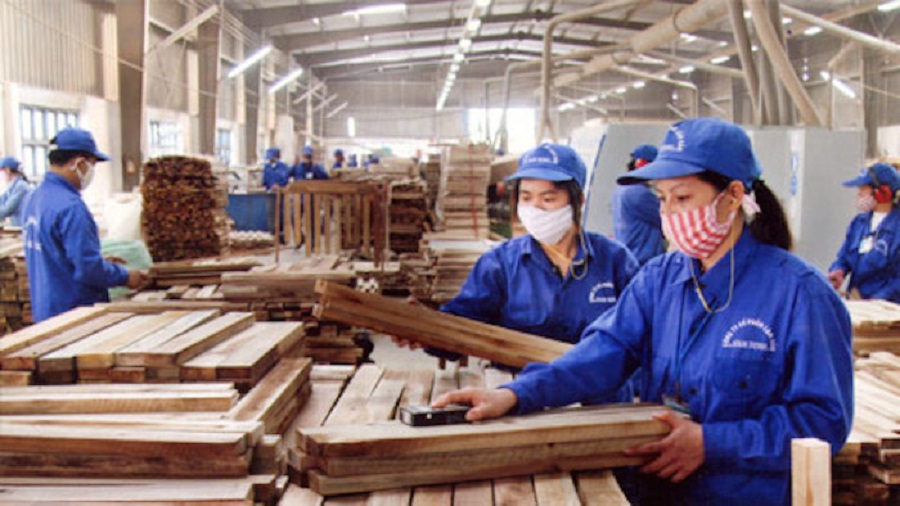 Sản xuất gỗ tại gỗ Trường Thành