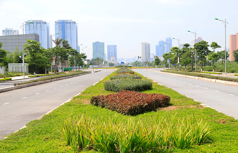 Dải phân cách giữa đường rộng khoảng 5m được trồng các loại hoa, cỏ… tạo mỹ quan đô thị.
