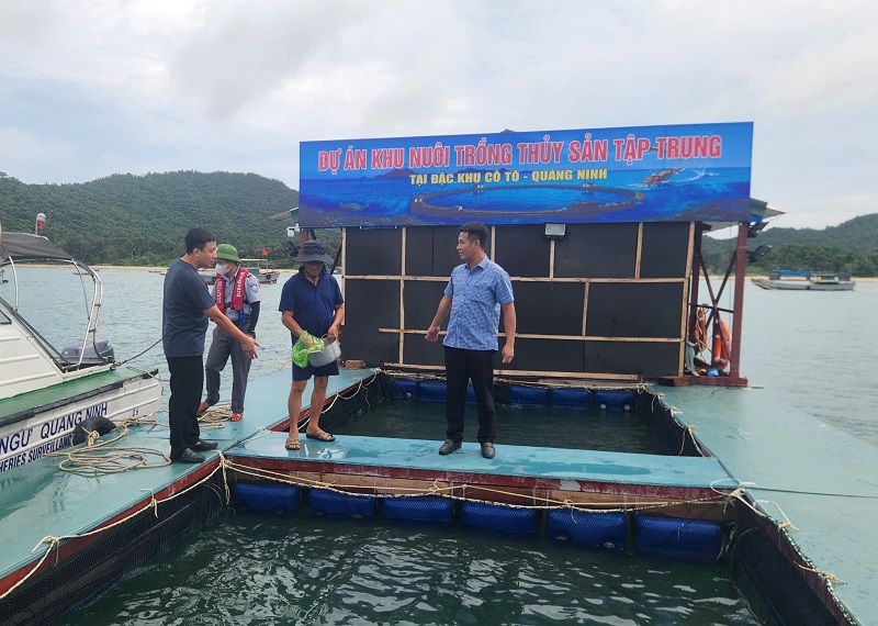 Khu nuôi trồng thủy sản tập trung tại đặc khu Cô tô, tỉnh Quảng Ninh. Ảnh Tiến Dũng
