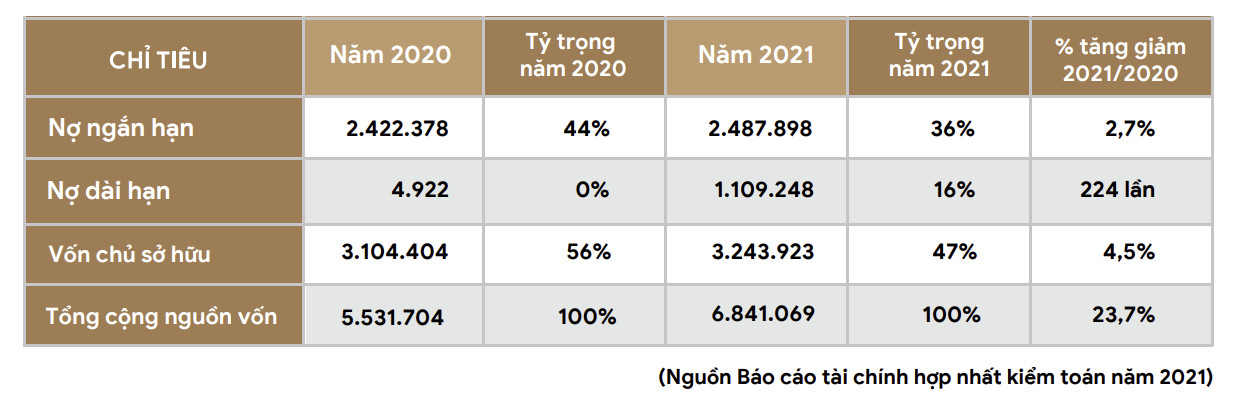 Nợ dài hạn của LDG tăng mạnh do Công ty tăng huy động vốn nhằm đẩy mạnh tài trợ cho các Dự án hiện hữu và tương lai theo kế hoạch kinh doanh