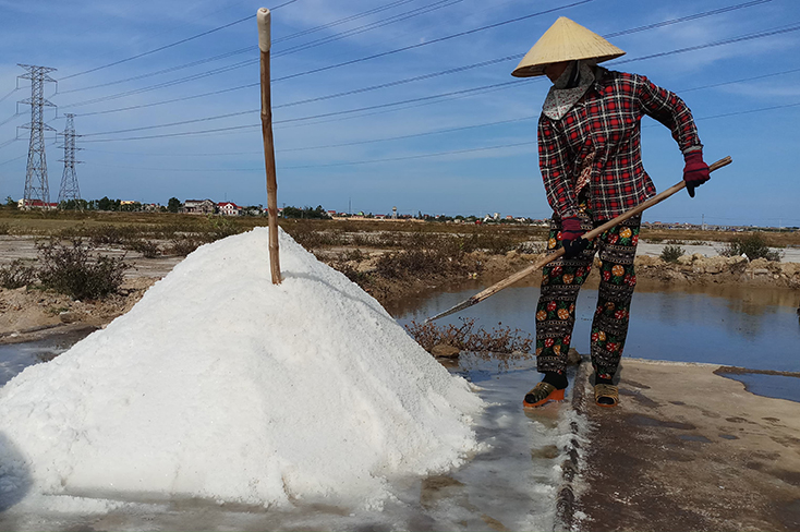 Quảng Bình định hướng sẽ phát triển muối sạch, áp dụng công nghệ mới thay vì sản xuất thủ công hiện nay. Trong ảnh: sản xuất muối tại Hợp tác xã Quảng Phú. Nguồn: Báo Quảng Bình.