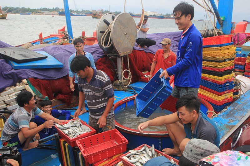 Quảng Trị thực hiện các giải pháp chống khai thác IUU, gỡ 'thẻ vàng' của EC