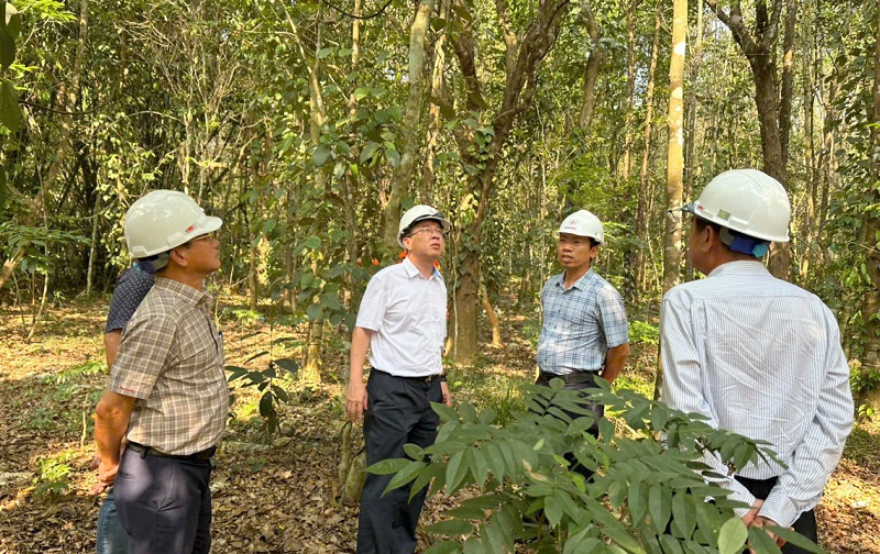 Tổng giám đốc EVNNPT Phạm Lê Phú đi kiểm tra thực địa hiện trường Dự án đường dây 220kV Quảng Ngãi - Quy Nhơn (Phước An). Nguồn: EVNNPT 