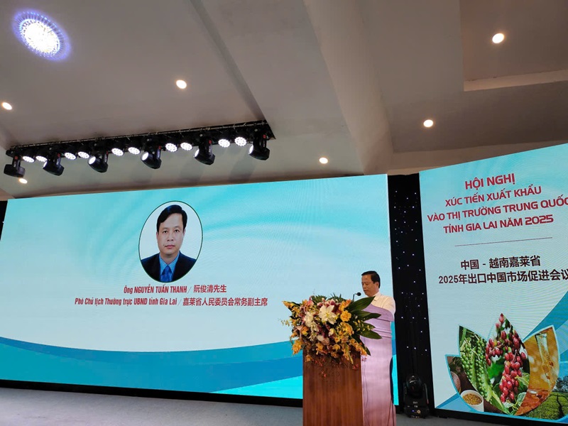 Ông Nguyễn Tuấn Thanh, Phó chủ tịch tỉnh Gia Lai phát biểu tại hội nghị.