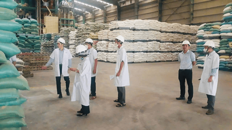 Đoàn công tác tỉnh Gia Lai khảo sát tại nhà máy trong khu công nghệp Nhơn Hòa. Nguồn: UBND phường An Nhơn Nam.