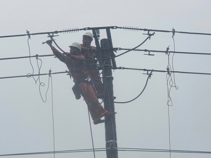 Nhân viên Công ty Điện lực Đà Nẵng hắc phục sự cố lưới điện trong điều kiện thời tiết bất lợi. Ảnh: PC Đà Nẵng.