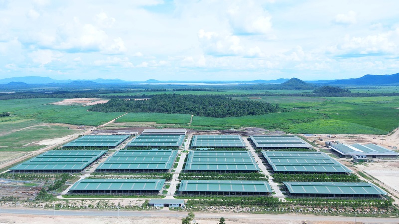 Theo THACO AGRI, Dự án Trang trại chăn nuôi bò thịt Ia Púch có quy mô chăn nuôi lên đến 51.000 con.