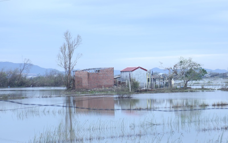 Một khu nhà dân nằm trong vùng ngập lụt trọng điểm ở xã Tuy Phước Đông