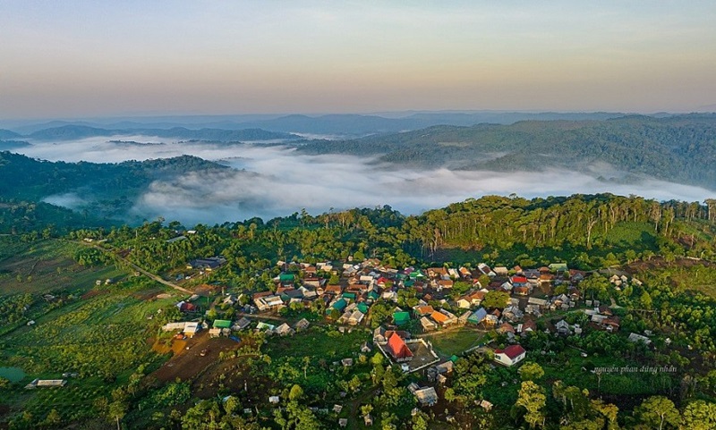 Với diện tích rừng lớn, tỉnh Gia Lai có tiềm năng lớn về tín chỉ carbon rừng. Ảnh: Dũng Nhân.