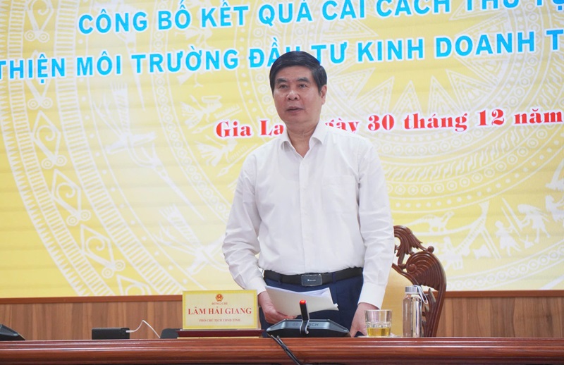 &Ocirc;ng L&acirc;m Hải Giang, Ph&oacute; chủ tịch UBND tỉnh Gia Lai ph&aacute;t biểu tại họp b&aacute;o. Ảnh: N.O.