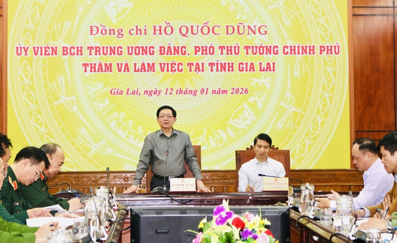 Ph&oacute; thủ tướng Hồ Quốc Dũng l&agrave;m việc với tỉnh Gia LAi.